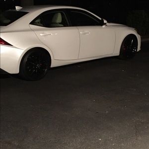 Meet your Posher, Harry